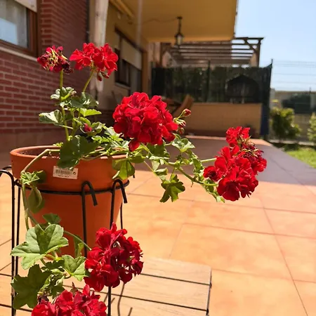 El Jardín De Apartamento *